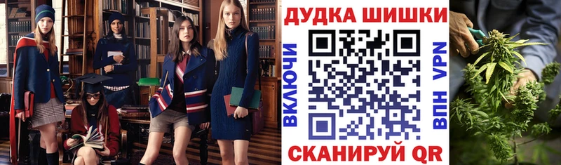 Шишки марихуана сатива кракен рабочий сайт Бологое